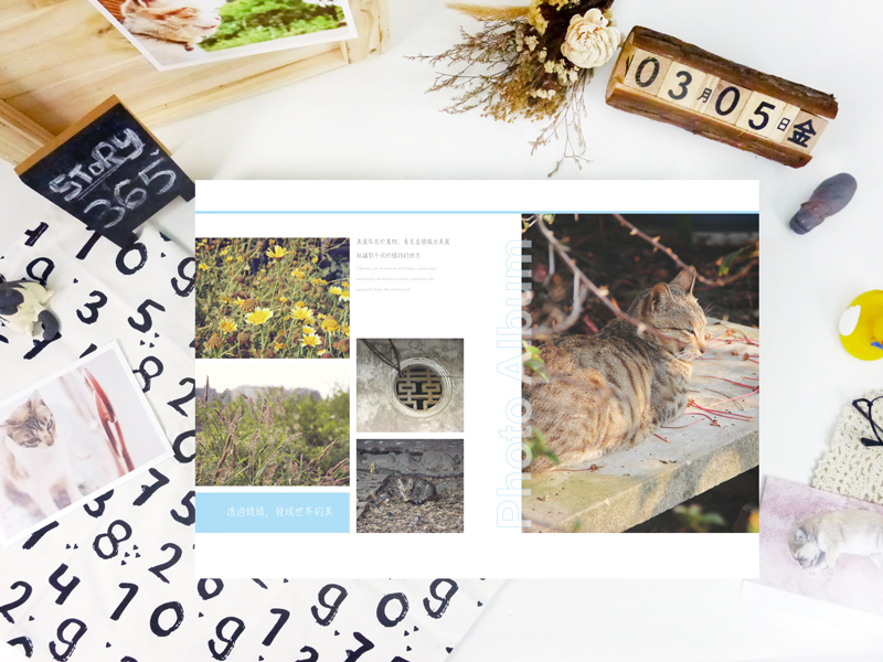 story365照片編輯軟體 相片書 編輯軟體 相片書diy