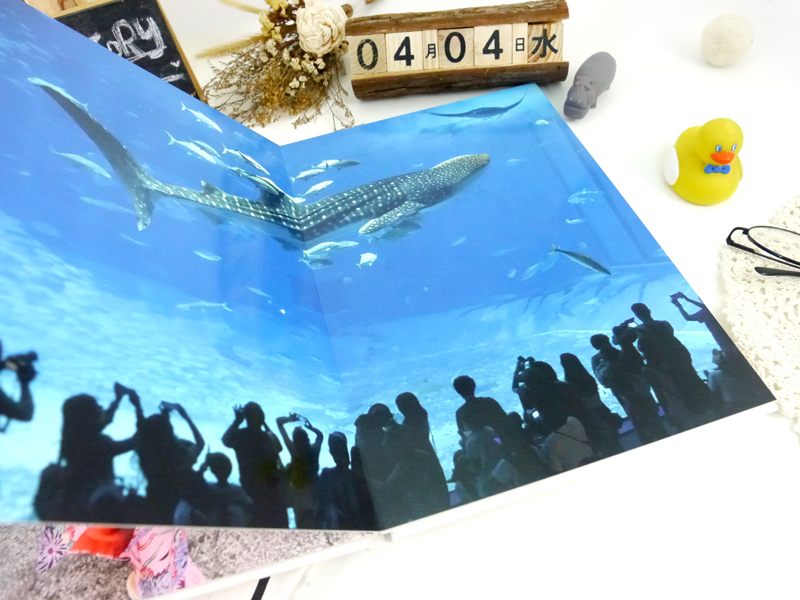 蝴蝶裝相簿 蝴蝶裝相本 洗照片 相片書 diy